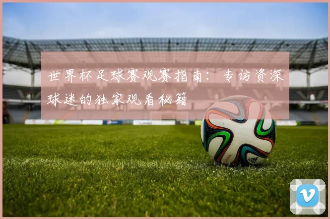 世界杯足球赛观赛指南：专访资深球迷的独家观看秘籍