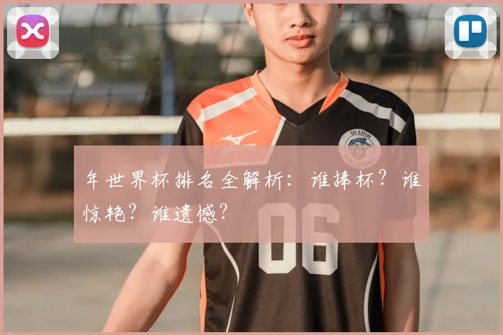 年世界杯排名全解析：谁捧杯？谁惊艳？谁遗憾？