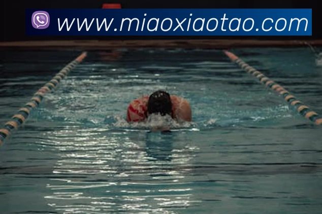 必一体育sport的公关活动平台生态图